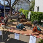 PXL_20220508_103143464